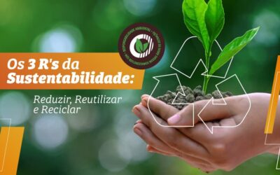 Os 3 R’s da Sustentabilidade: Reduzir, Reutilizar e Reciclar